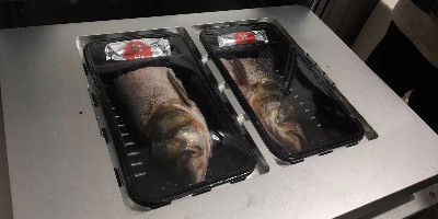 鱼类气调包装是如何应用的？